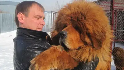 Zakon.kz, фото - Новости Zakon.kz от 14.11.2014 21:23