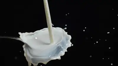 Pixabay, фото - Новости Zakon.kz от 13.11.2019 01:25