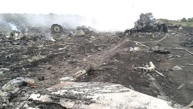 В Донецкой области разбился лайнер Malaysia Airlines