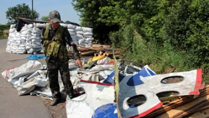 Нидерландский Совбез усомнился в причастности «Бука» к падению «Боинга»