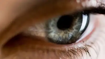 из открытых источников, фото - Новости Zakon.kz от 23.01.2019 13:54