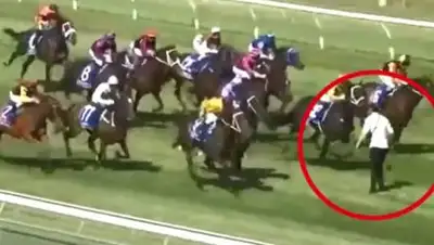 The Sun, фото - Новости Zakon.kz от 01.02.2021 10:26