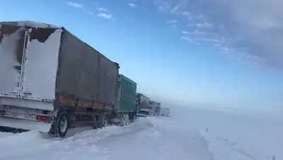 КЧС МВД РК, фото - Новости Zakon.kz от 05.11.2019 15:52