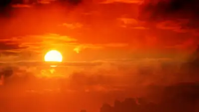 Pngtree, фото - Новости Zakon.kz от 12.07.2019 17:23