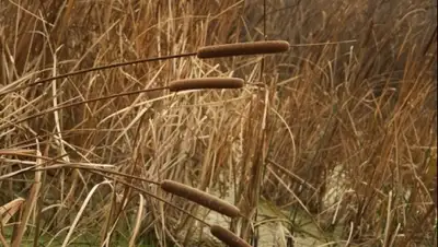 Zakon.kz, фото - Новости Zakon.kz от 28.01.2015 21:24