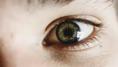 Pixabay, фото - Новости Zakon.kz от 10.07.2019 09:03