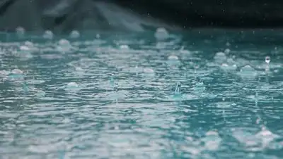 pixabay.com, фото - Новости Zakon.kz от 10.07.2021 20:38