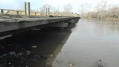 из открытых источников, фото - Новости Zakon.kz от 20.04.2018 01:35