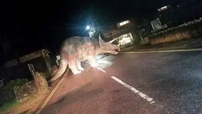 Zakon.kz, фото - Новости Zakon.kz от 17.02.2016 03:00