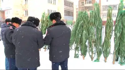 Zakon.kz, фото - Новости Zakon.kz от 12.12.2014 17:35