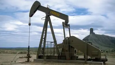 Public Domain Files, фото - Новости Zakon.kz от 25.01.2019 11:56