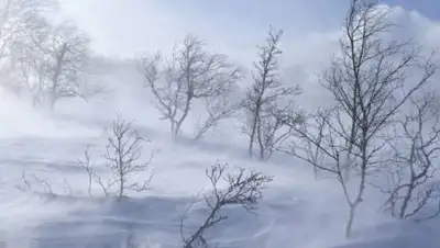 pixabay.com, фото - Новости Zakon.kz от 03.02.2021 15:51