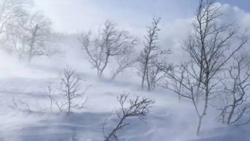 Метель, гололед и ветер. Прогноз погоды на четвертое февраля