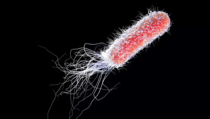 Ученые оживили глубоководных микробов возрастом 100 миллионов лет