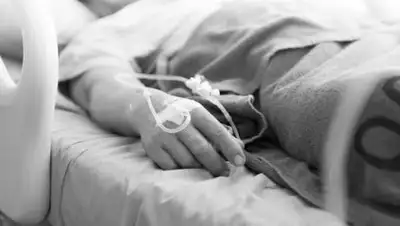 inform.kz, фото - Новости Zakon.kz от 07.11.2020 09:19