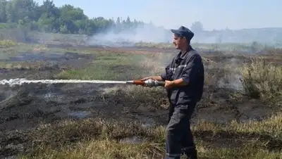 Zakon.kz, фото - Новости Zakon.kz от 31.07.2016 00:19
