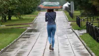 Zakon.kz, фото - Новости Zakon.kz от 23.06.2017 12:00