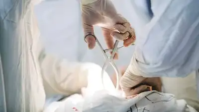 Zakon.kz, фото - Новости Zakon.kz от 17.08.2017 19:21