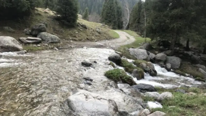 Тендеры на участки под застройку Кок-Жайляу приостановили