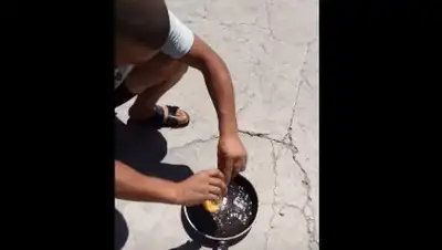 Zakon.kz, фото - Новости Zakon.kz от 09.07.2017 07:01