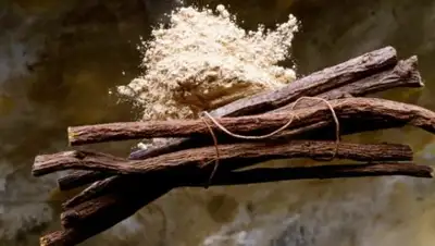 Zakon.kz, фото - Новости Zakon.kz от 10.07.2017 17:36