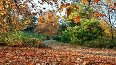 zakon.kz, фото - Новости Zakon.kz от 20.09.2021 11:54