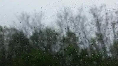 Zakon.kz, фото - Новости Zakon.kz от 23.06.2016 12:00