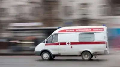 Zakon.kz, фото - Новости Zakon.kz от 04.01.2017 22:52