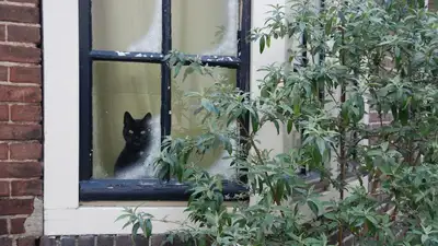 Советы для тех, кто ненавидит холод, фото - Новости Zakon.kz от 03.11.2023 16:04