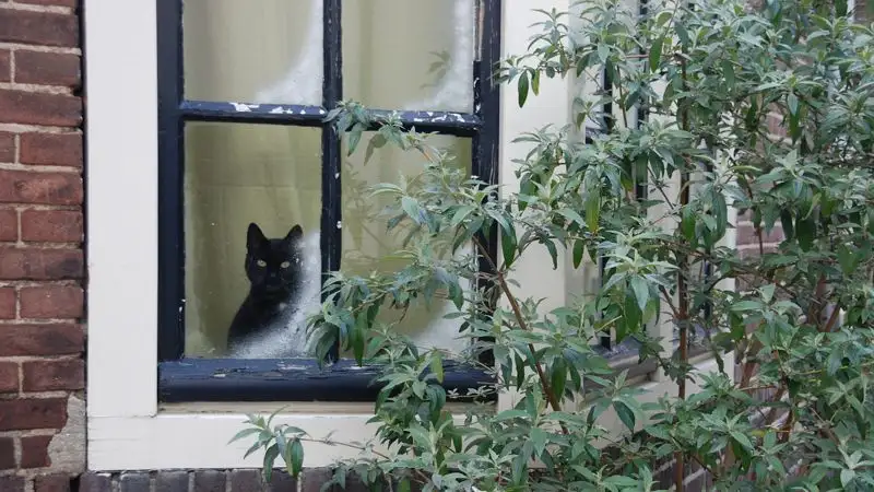 Советы для тех, кто ненавидит холод