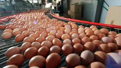 © РИА Новости/Игорь Зарембо, фото - Новости Zakon.kz от 16.04.2018 00:56