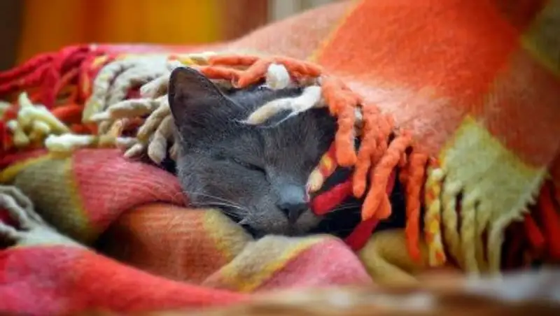 В Казахстане в воскресенье обещают снег и резкое похолодание