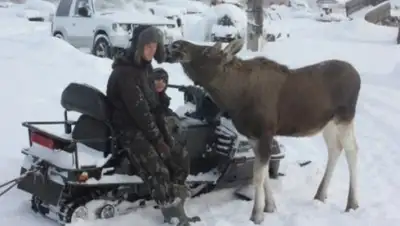 Zakon.kz, фото - Новости Zakon.kz от 11.12.2016 17:09