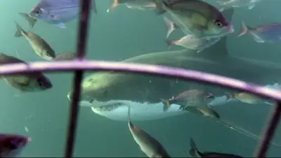 Zakon.kz, фото - Новости Zakon.kz от 25.07.2015 16:29