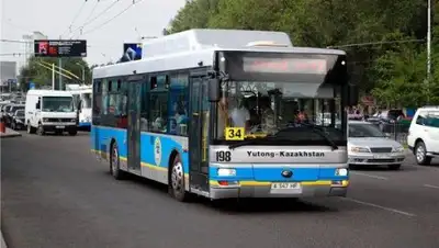 Pandaland.kz, фото - Новости Zakon.kz от 17.10.2018 11:59