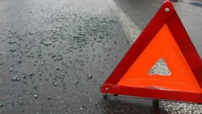 Zakon.kz, фото - Новости Zakon.kz от 09.08.2016 01:13