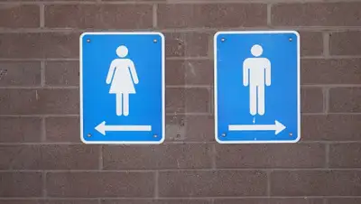 pixabay.com, фото - Новости Zakon.kz от 12.11.2019 14:50