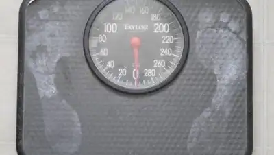 pxhere.com, фото - Новости Zakon.kz от 21.02.2021 00:32