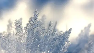 кристалы, фото - Новости Zakon.kz от 14.02.2022 12:33