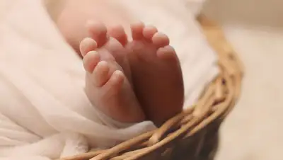 Pixabay, фото - Новости Zakon.kz от 09.04.2020 23:27