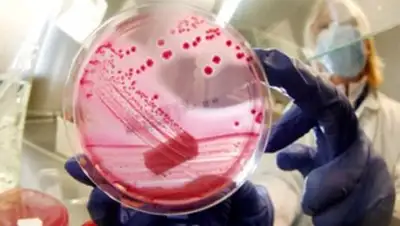 Zakon.kz, фото - Новости Zakon.kz от 19.08.2014 23:20