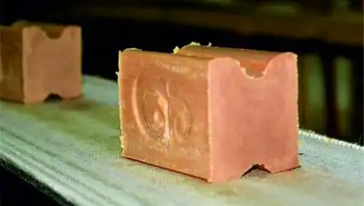 "Шымкентмай", фото - Новости Zakon.kz от 25.02.2021 14:40