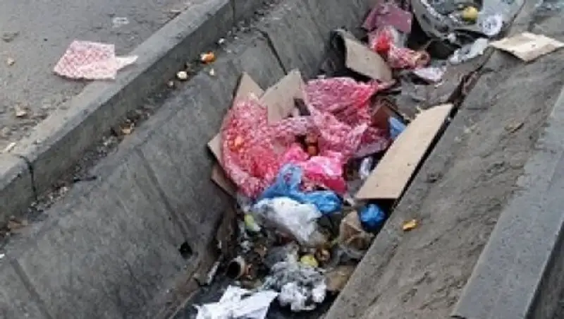 Жителей Астаны просят сообщать о выбросе мусора в неустановленных местах