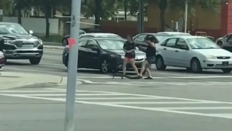 Две американские девушки перевели через дорогу стеснительного аллигатора