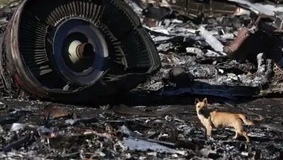 Zakon.kz, фото - Новости Zakon.kz от 03.07.2015 14:18