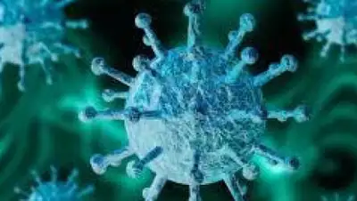 pixabay.com, фото - Новости Zakon.kz от 01.07.2020 15:03