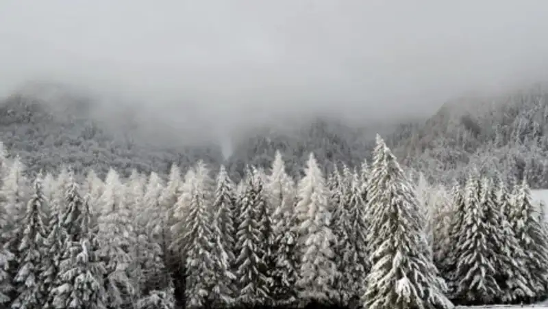 Неустойчивую погоду прогнозируют 3 января