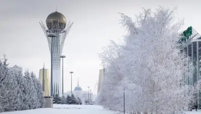Zakon.kz, фото - Новости Zakon.kz от 14.02.2017 17:32