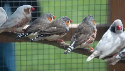 Zakon.kz, фото - Новости Zakon.kz от 30.12.2014 22:52