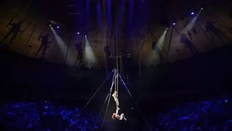 Российская цирковая гимнастка сорвалась с высоты на гастролях в Швейцарии